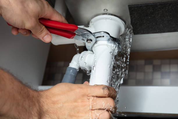 Best Water damage restoration near me  in West Plains, MO