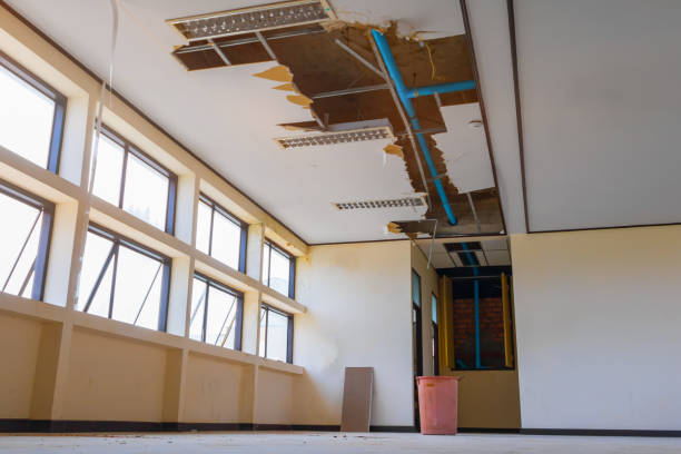 Best Professional water damage repair  in West Plains, MO