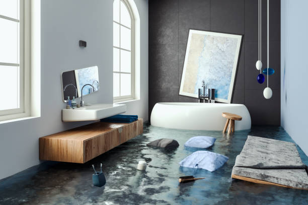 Best Local water damage restoration  in West Plains, MO