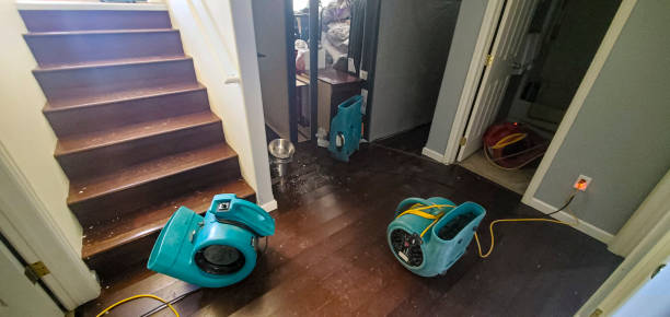 Best Commercial water damage restoration  in West Plains, MO
