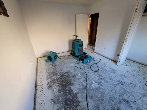Best Sewage cleanup and water damage restoration  in West Plains, MO