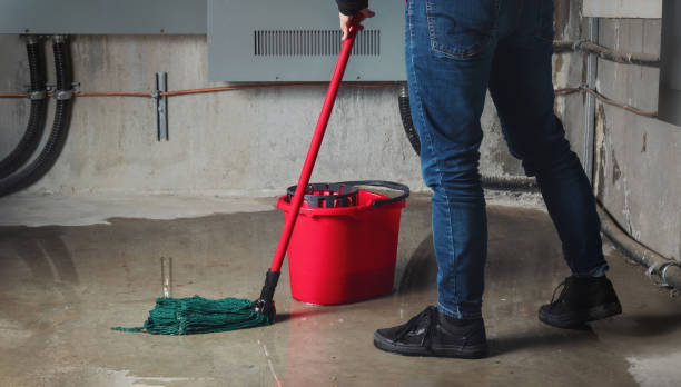 Best Flood damage cleanup  in West Plains, MO