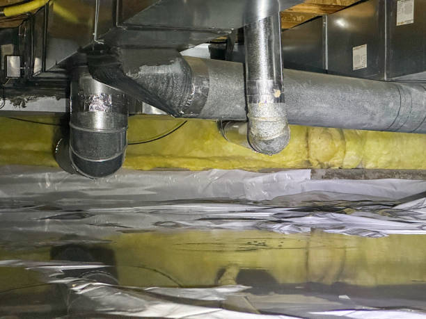 Best Water damage contractors near me  in West Plains, MO
