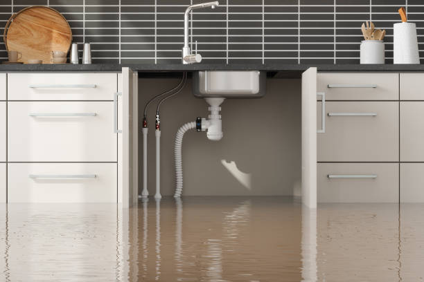 Best Basement water damage restoration  in West Plains, MO