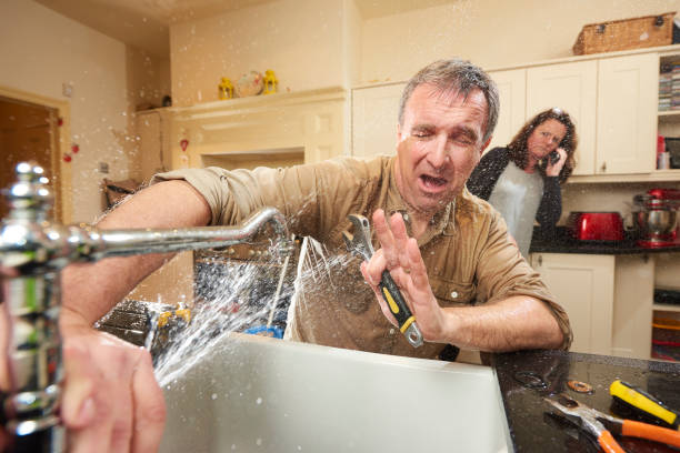 Best Flood restoration services  in West Plains, MO